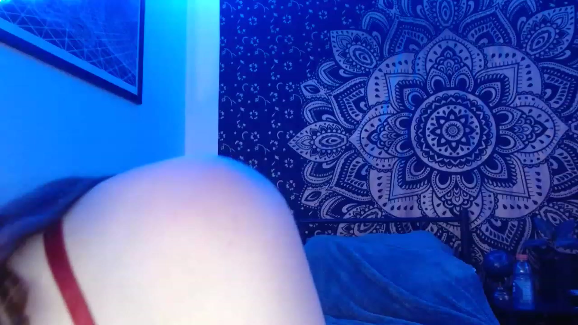 Gallery image thumbnail from Gracexgala's myfreecams stream on, 11/22/2022, 10:20 image 5 of 20