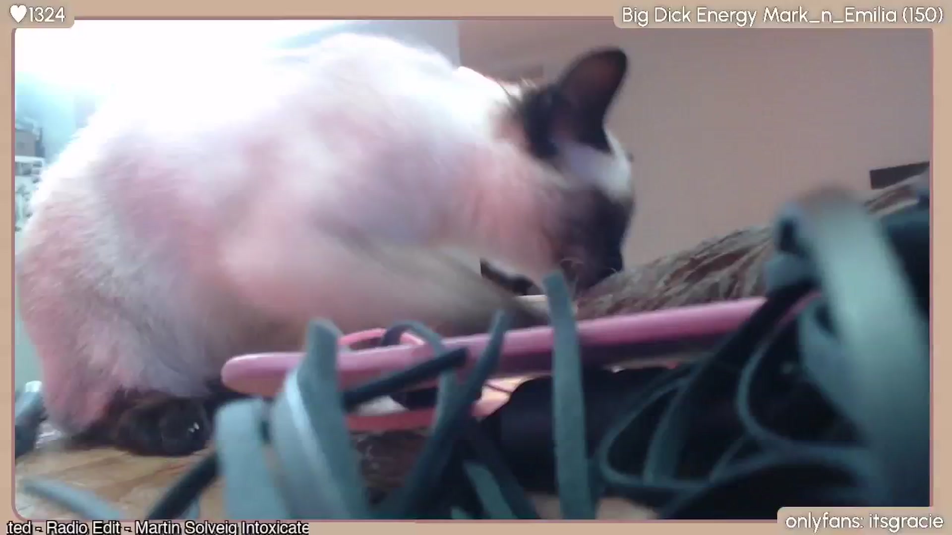 Gallery image thumbnail from Gracie's myfreecams stream on, 05/14/2024, 24:21 image 16 of 20