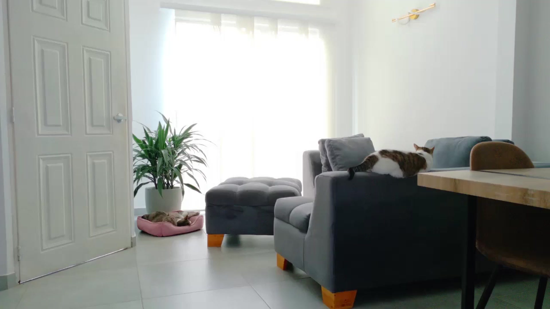 Gallery image thumbnail from GrettaBenett's myfreecams stream on, 03/27/2026, 23:35 image 8 of 20