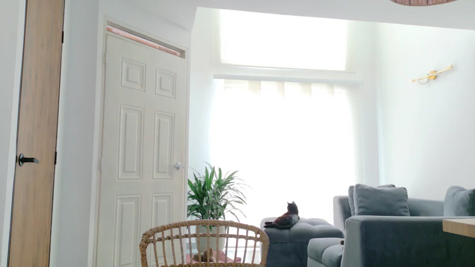 Gallery image thumbnail from GrettaBenett's myfreecams stream on, 03/30/2026, 22:16 image 8 of 20