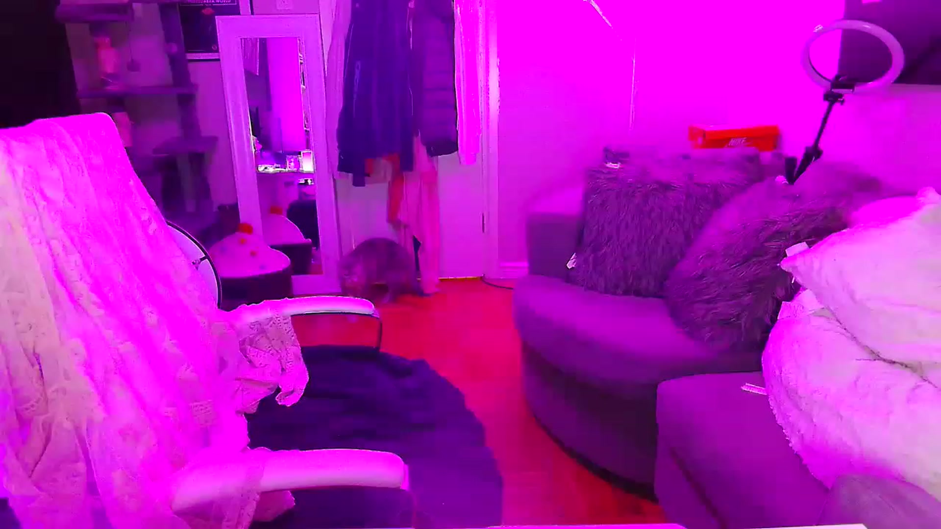Gallery image thumbnail from Grumpycatxo's myfreecams stream on, 11/24/2022, 03:45 image 1 of 20
