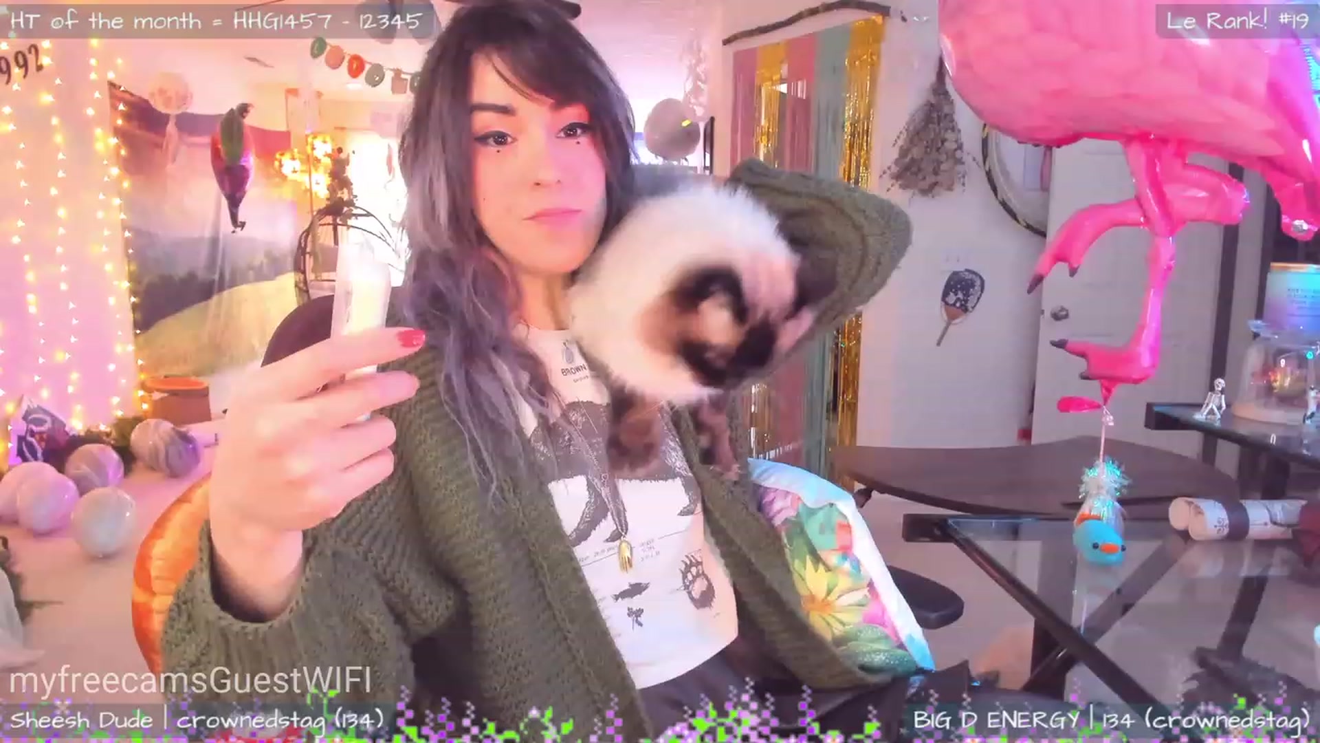 Gallery image thumbnail from GuestWIFI's myfreecams stream on, 02/22/2023, 23:27 image 1 of 20