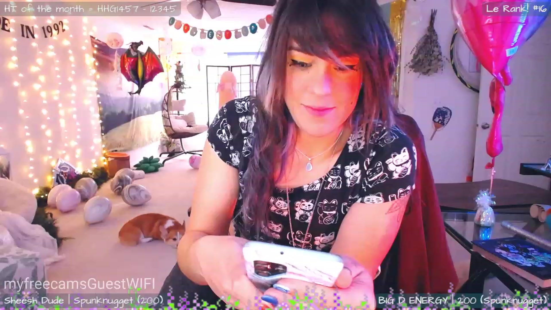 Gallery image thumbnail from GuestWIFI's myfreecams stream on, 02/23/2023, 23:18 image 9 of 20