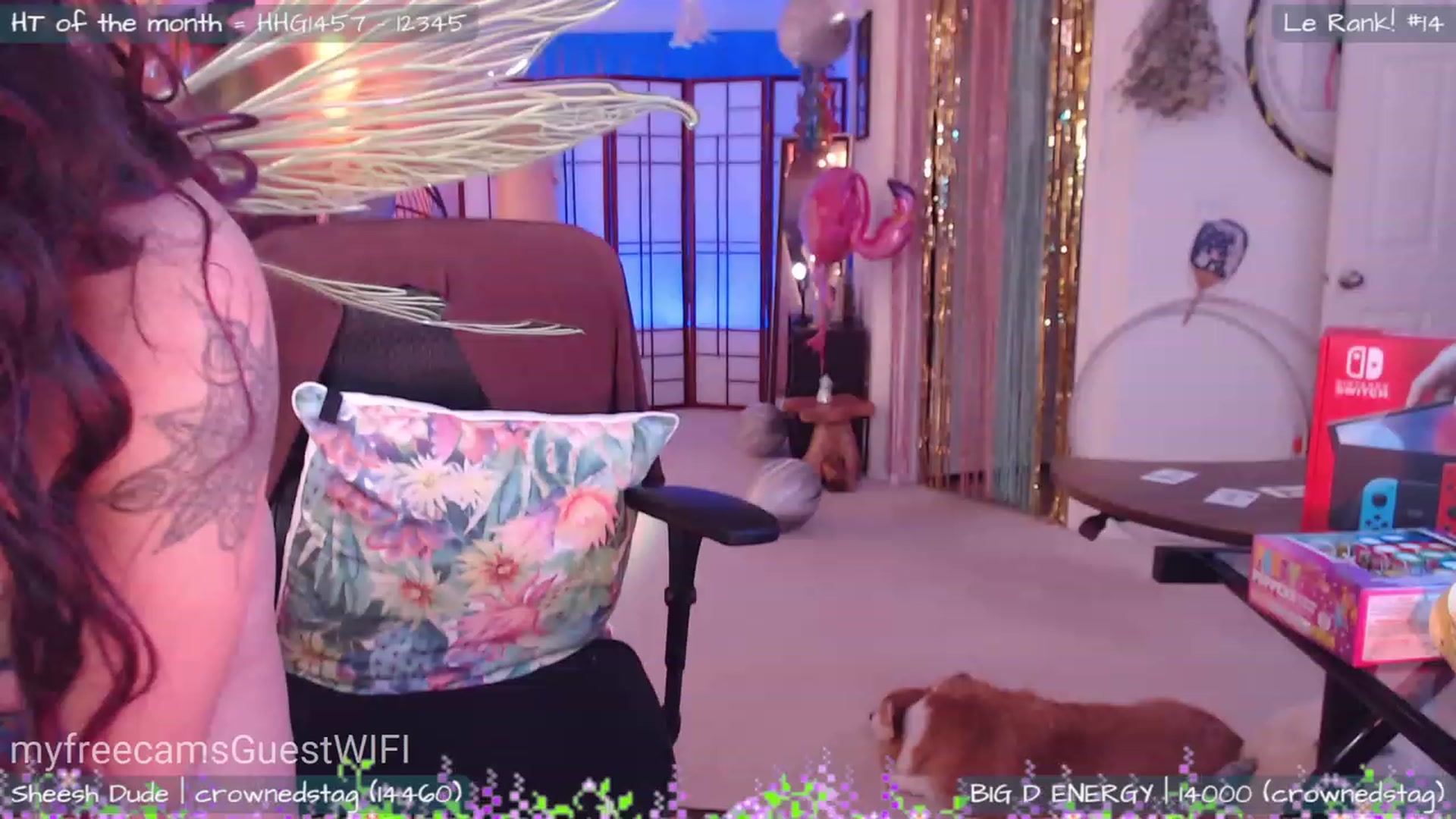 Gallery image thumbnail from GuestWIFI's myfreecams stream on, 02/27/2023, 04:43 image 12 of 20