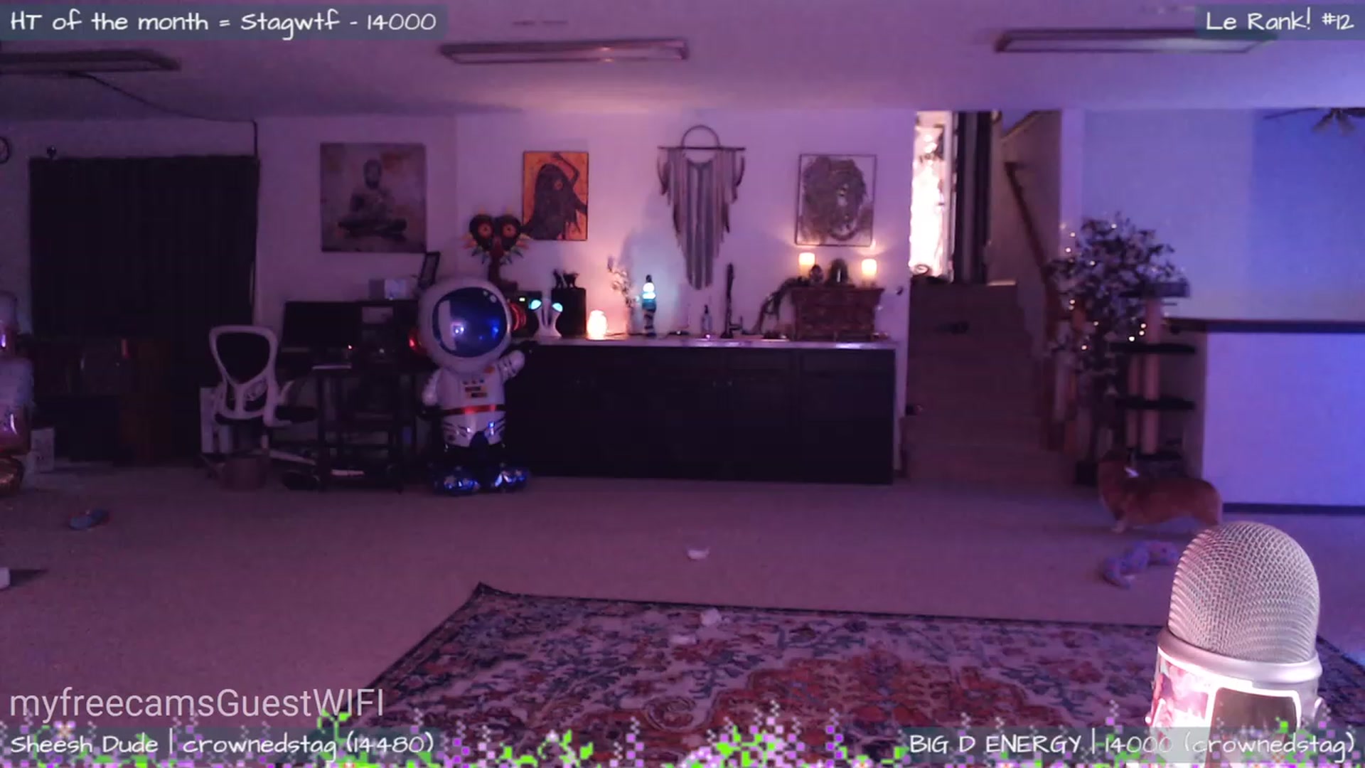 Gallery image thumbnail from GuestWIFI's myfreecams stream on, 02/27/2023, 06:40 image 10 of 20