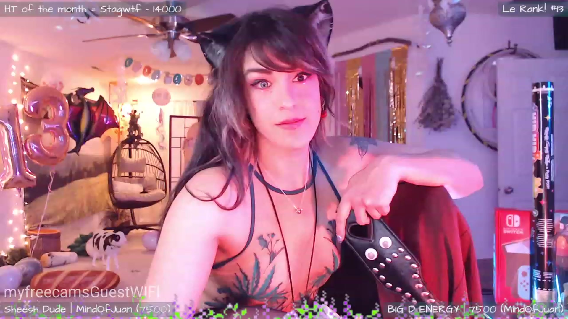 Gallery image thumbnail from GuestWIFI's myfreecams stream on, 03/01/2023, 04:32 image 8 of 20