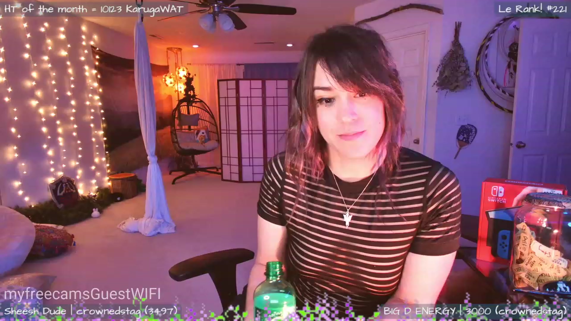 Gallery image thumbnail from GuestWIFI's myfreecams stream on, 04/13/2023, 03:45 image 14 of 20
