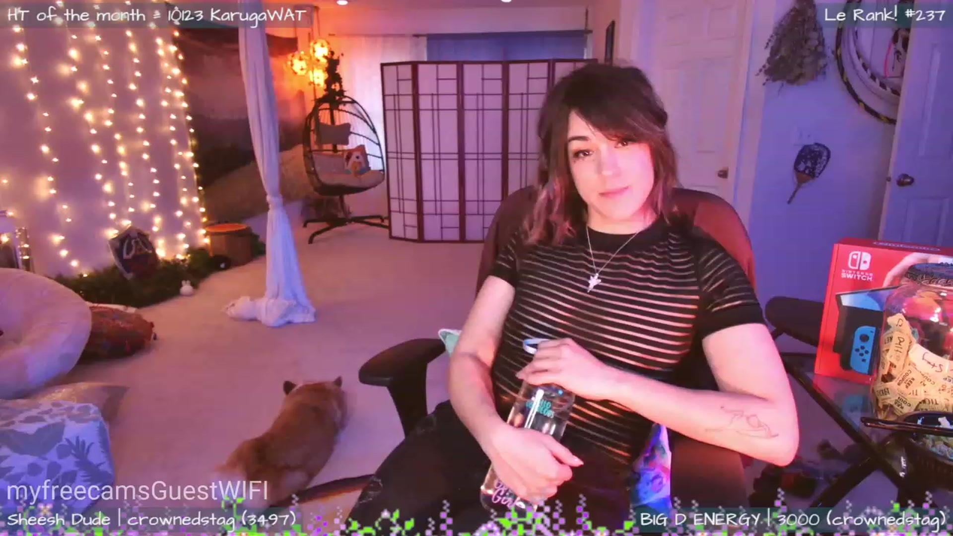 Gallery image thumbnail from GuestWIFI's myfreecams stream on, 04/13/2023, 03:45 image 6 of 20