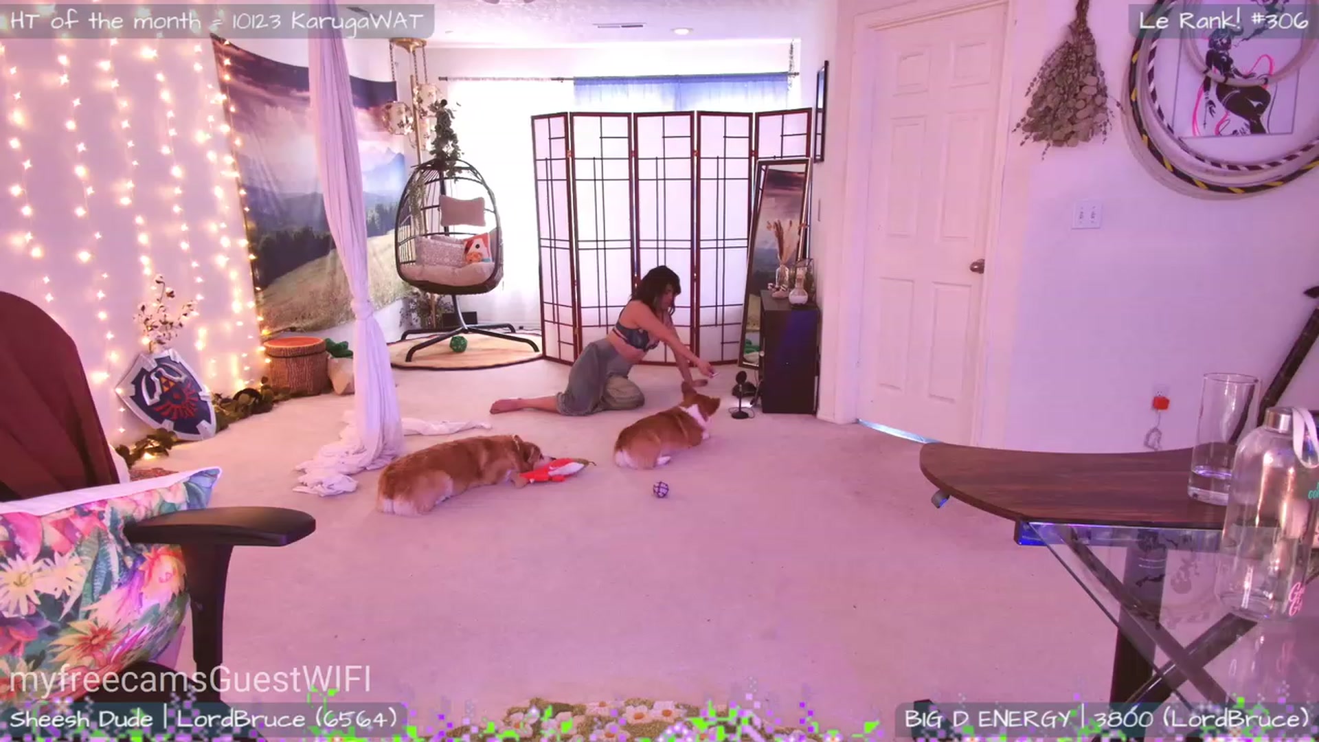 Gallery image thumbnail from GuestWIFI's myfreecams stream on, 04/29/2023, 22:24 image 15 of 20
