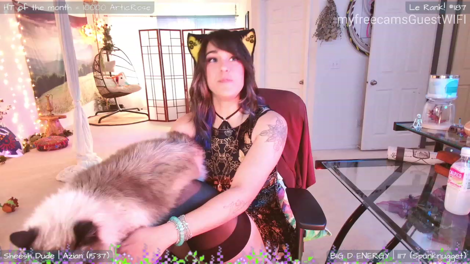Gallery image thumbnail from GuestWIFI's myfreecams stream on, 06/11/2023, 02:52 image 9 of 20