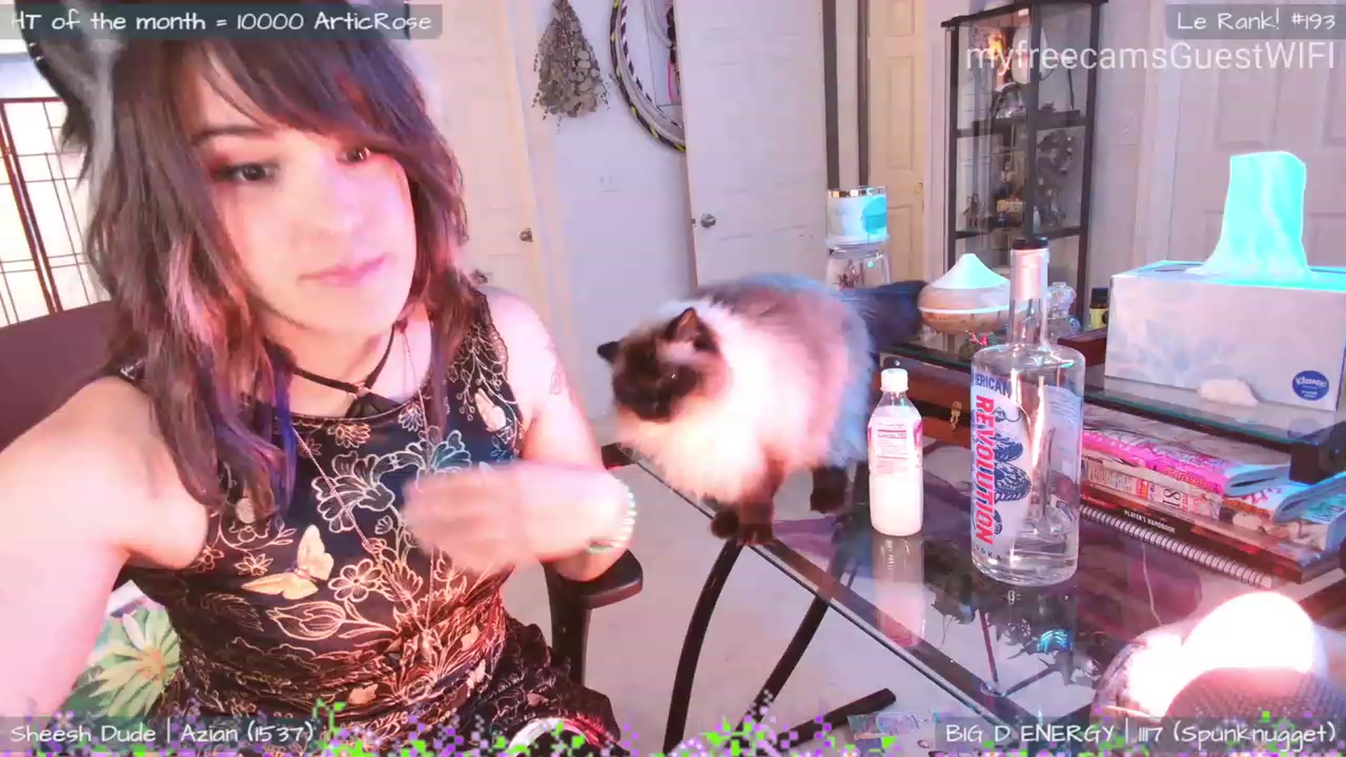 Gallery image thumbnail from GuestWIFI's myfreecams stream on, 06/11/2023, 02:52 image 2 of 20