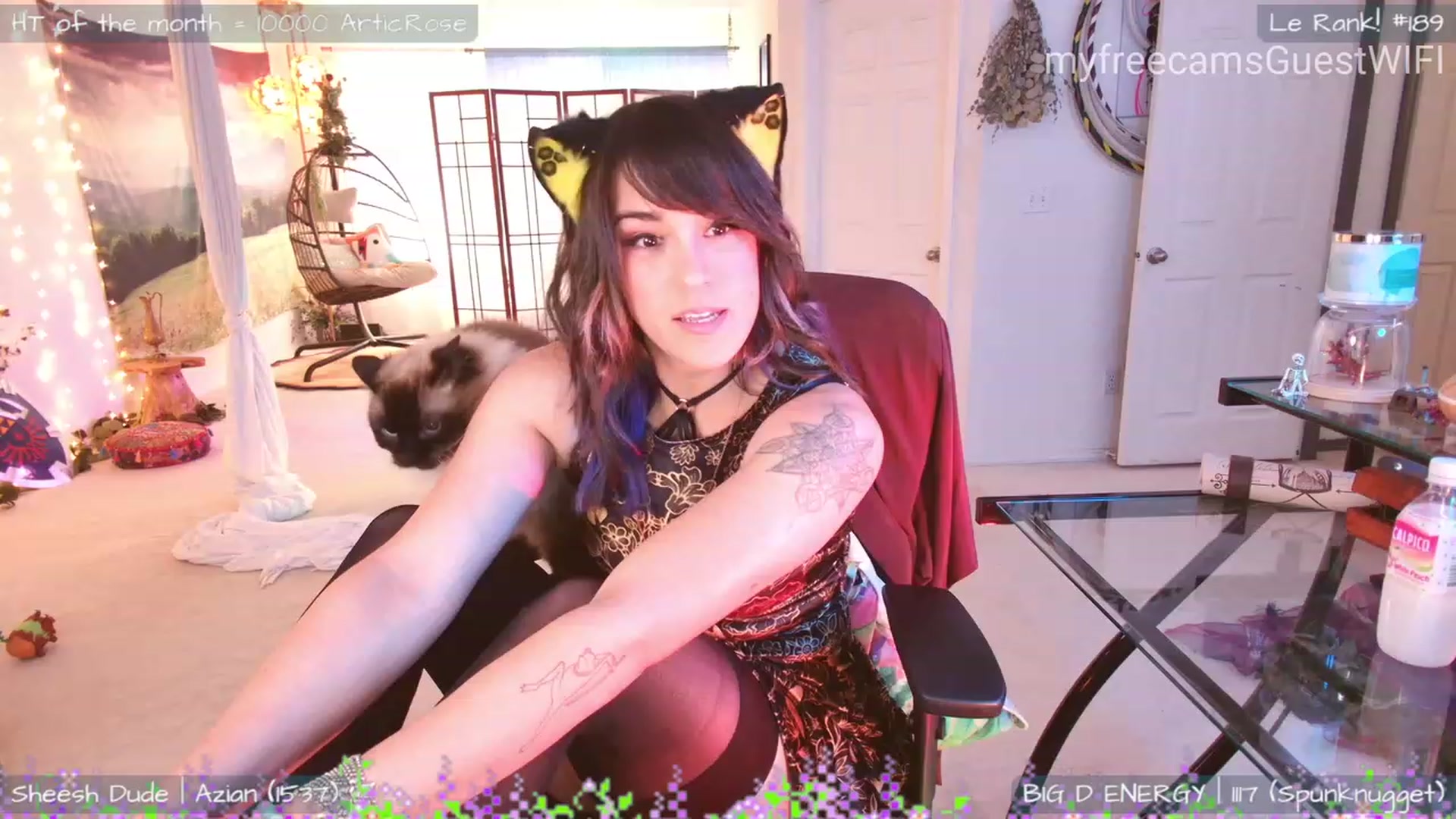 Gallery image thumbnail from GuestWIFI's myfreecams stream on, 06/11/2023, 02:52 image 8 of 20