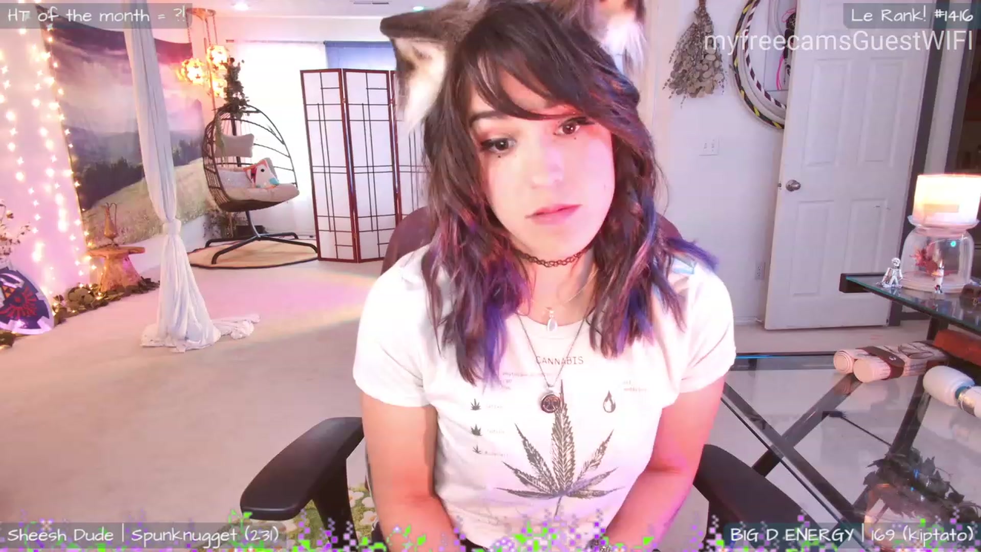 Gallery image thumbnail from GuestWIFI's myfreecams stream on, 07/02/2023, 01:03 image 8 of 20