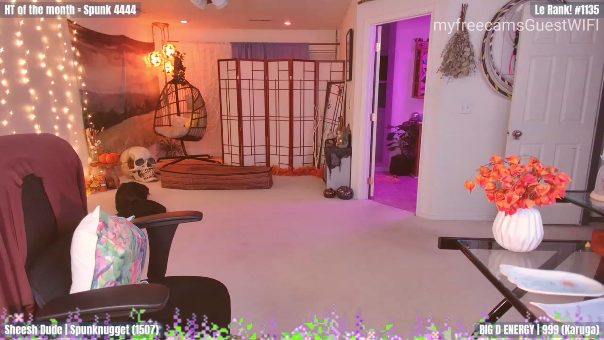 Gallery image thumbnail from GuestWIFI's myfreecams stream on, 10/04/2023, 05:02 image 3 of 20