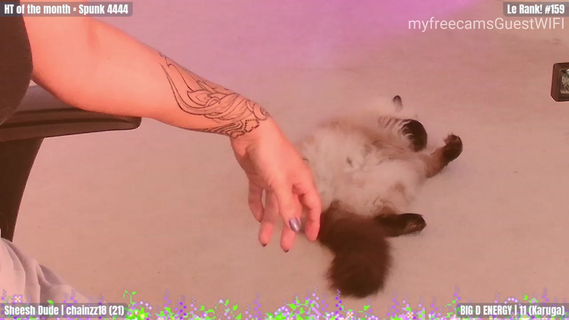 Gallery image thumbnail from GuestWIFI's myfreecams stream on, 10/04/2023, 21:44 image 1 of 20