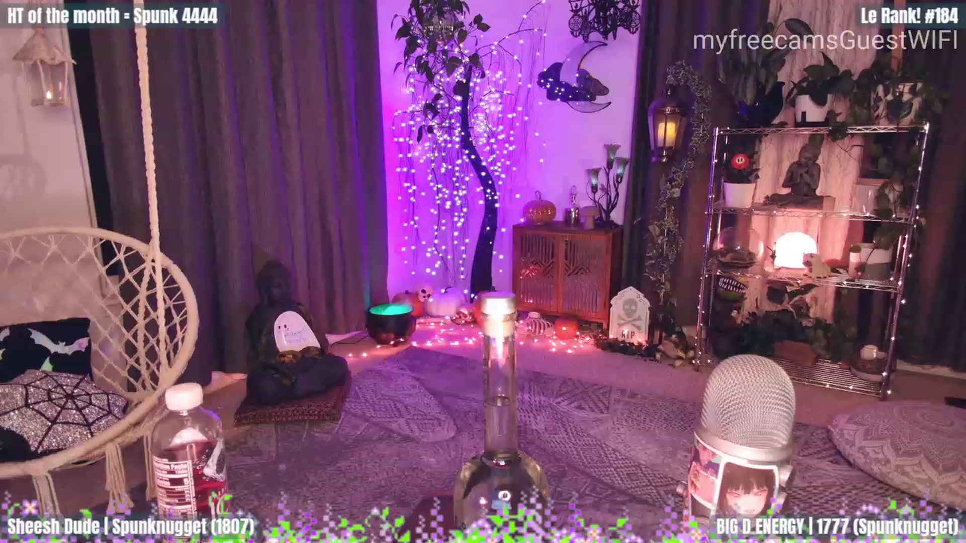 Gallery image thumbnail from GuestWIFI's myfreecams stream on, 10/08/2023, 02:00 image 3 of 20