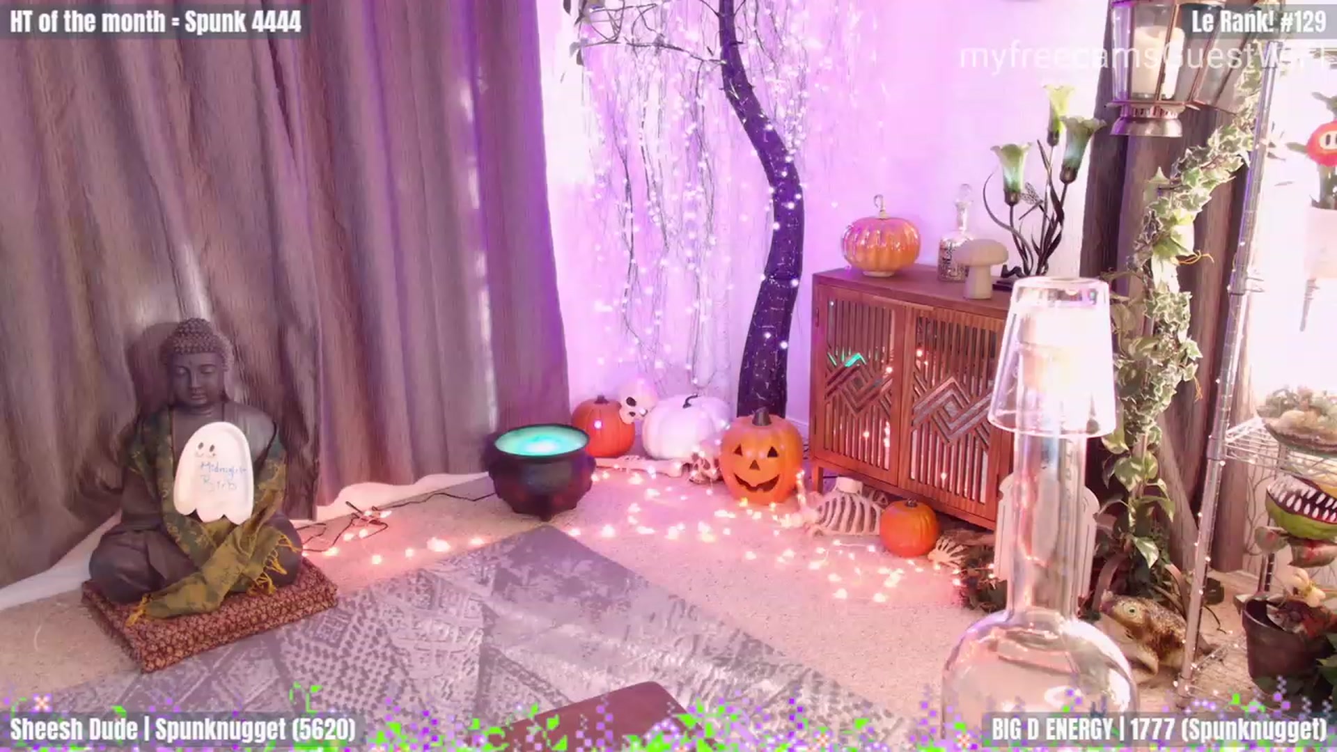 Gallery image thumbnail from GuestWIFI's myfreecams stream on, 10/13/2023, 24:01 image 17 of 20