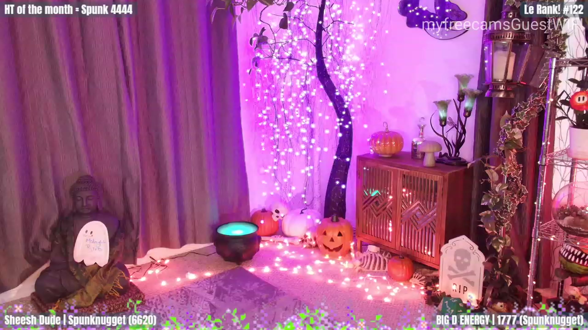 Gallery image thumbnail from GuestWIFI's myfreecams stream on, 10/13/2023, 01:12 image 2 of 20