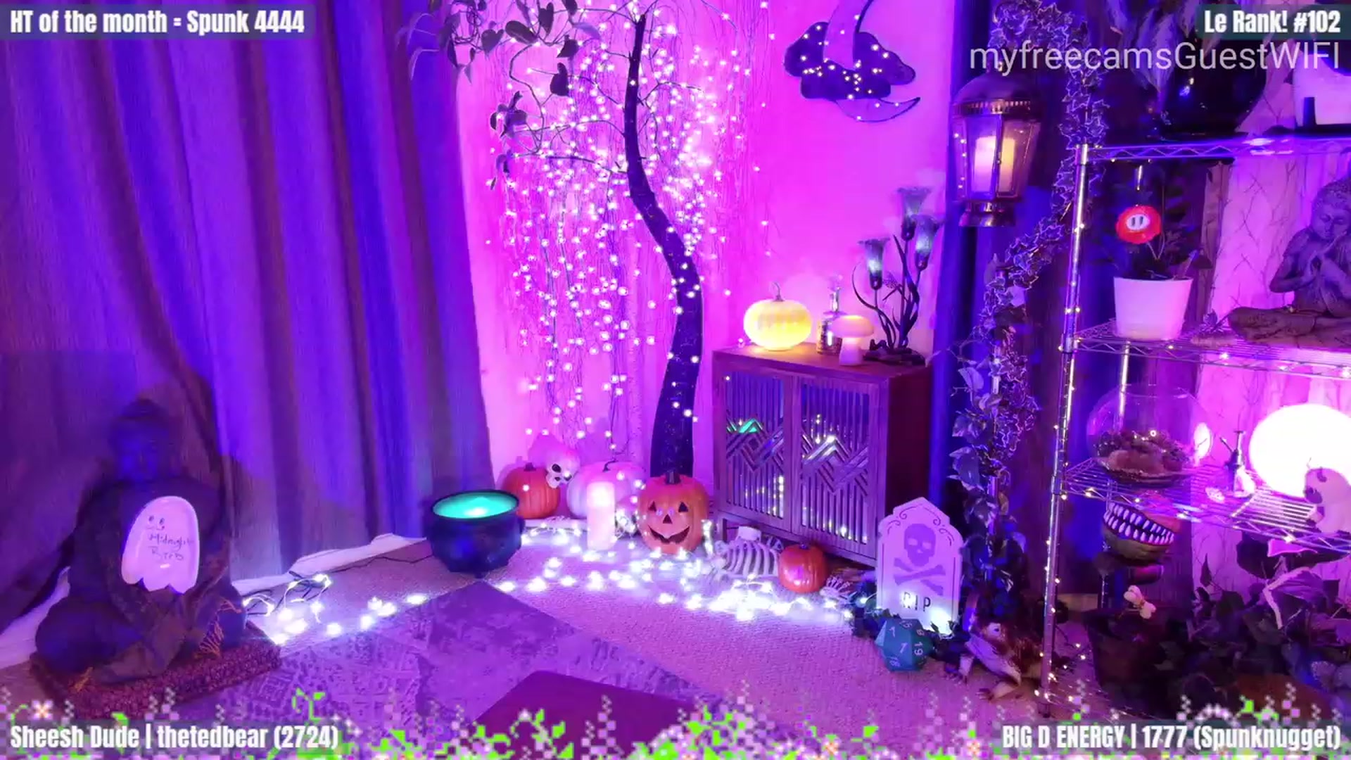 Gallery image thumbnail from GuestWIFI's myfreecams stream on, 10/14/2023, 03:17 image 8 of 20
