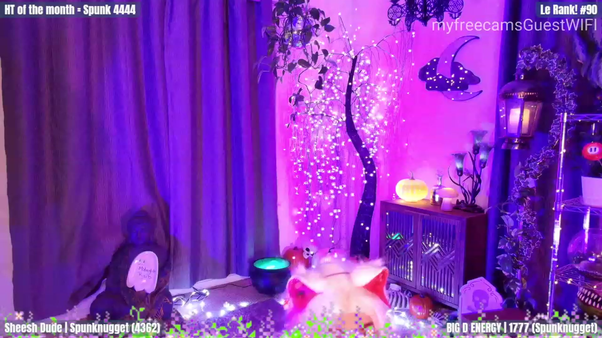 Gallery image thumbnail from GuestWIFI's myfreecams stream on, 10/14/2023, 03:17 image 16 of 20