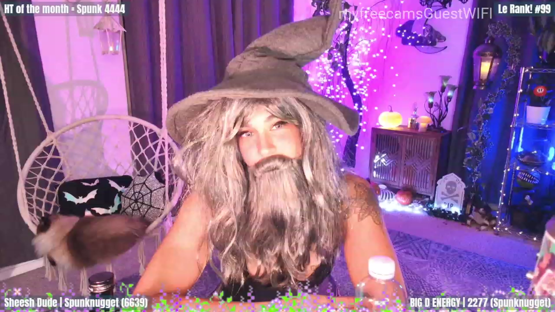Gallery image thumbnail from GuestWIFI's myfreecams stream on, 10/21/2023, 04:31 image 4 of 20