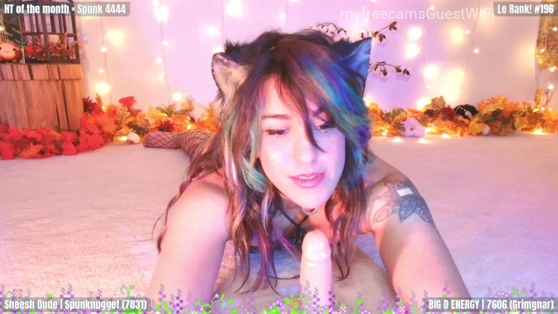 Gallery image thumbnail from GuestWIFI's myfreecams stream on, 11/04/2023, 04:21 image 7 of 20