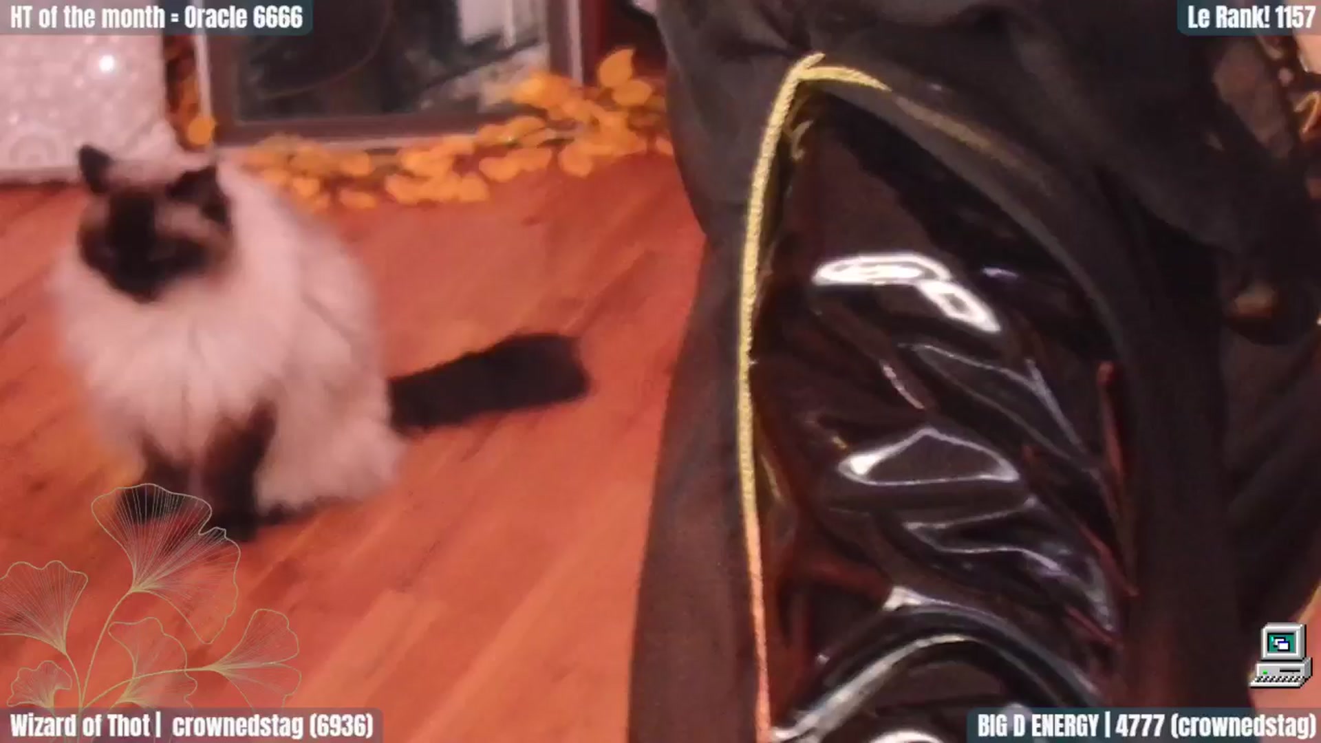 Gallery image thumbnail from GuestWIFI's myfreecams stream on, 10/30/2024, 03:27 image 13 of 20