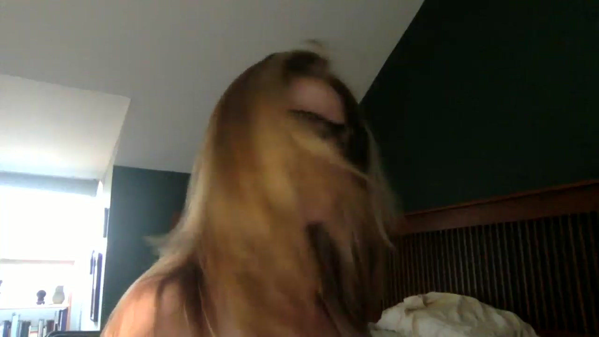 Gallery image thumbnail from GwenieDragon's myfreecams stream on, 05/22/2024, 15:48 image 18 of 20