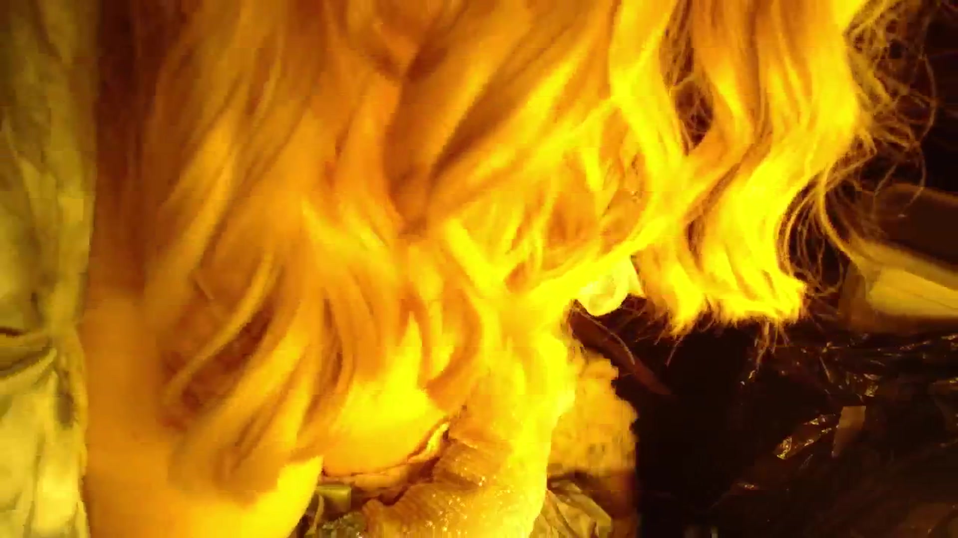 Gallery image thumbnail from H0NEY's myfreecams stream on, 11/01/2025, 01:52 image 18 of 20