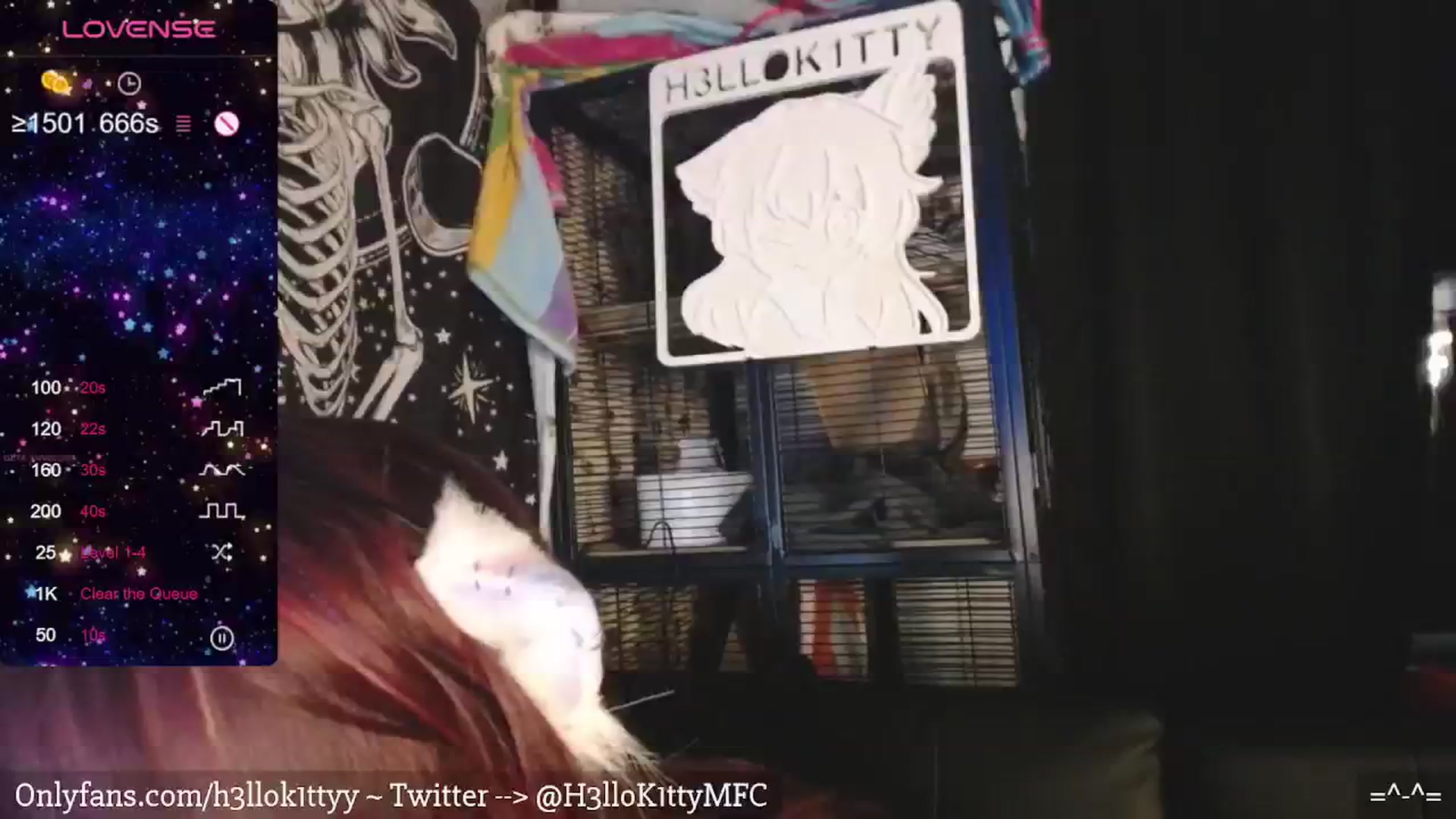 Gallery image thumbnail from H3llok1tty's myfreecams stream on, 02/11/2024, 11:33 image 13 of 20