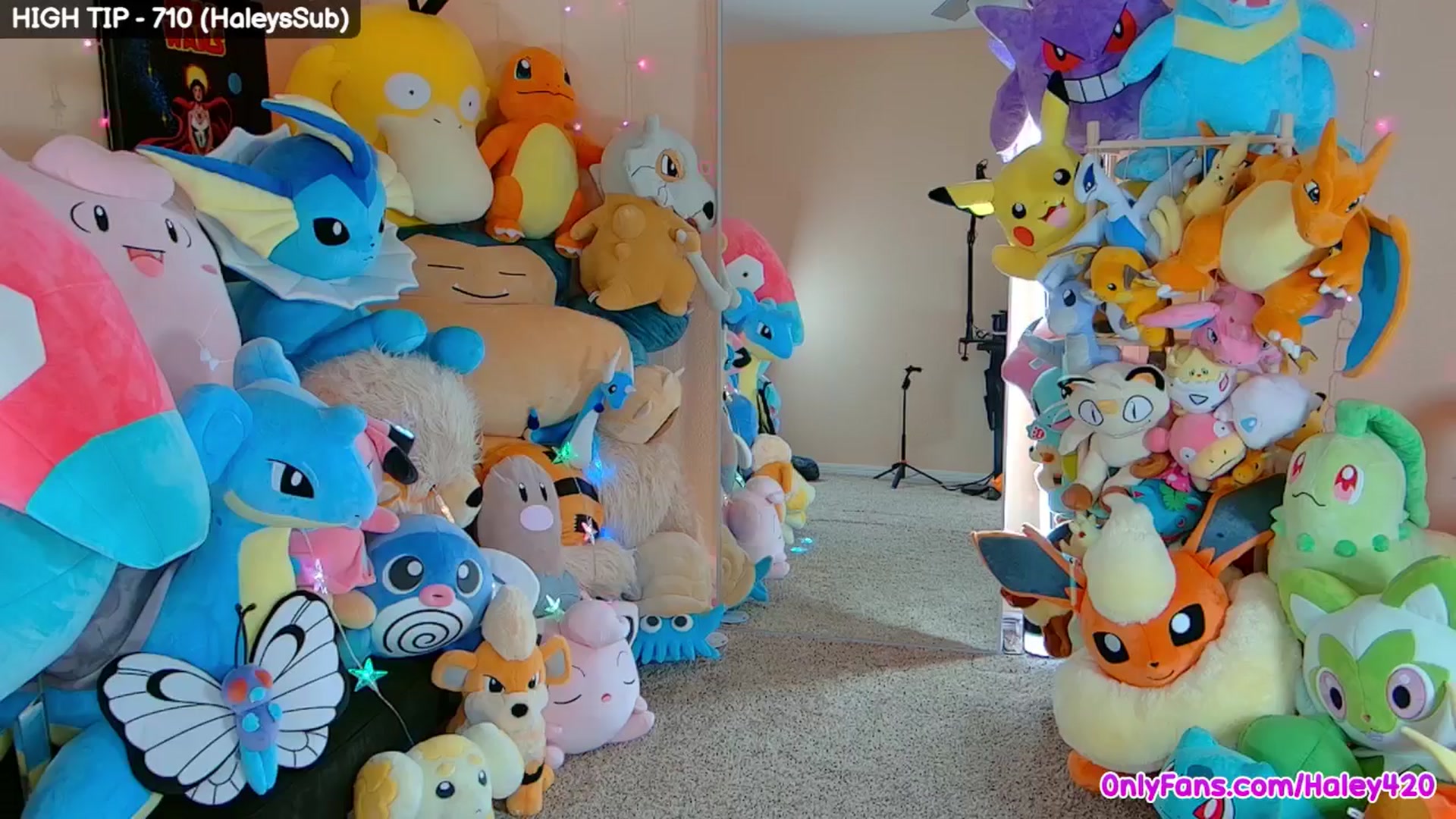 Gallery image thumbnail from HALEY's myfreecams stream on, 02/13/2026, 06:42 image 3 of 20