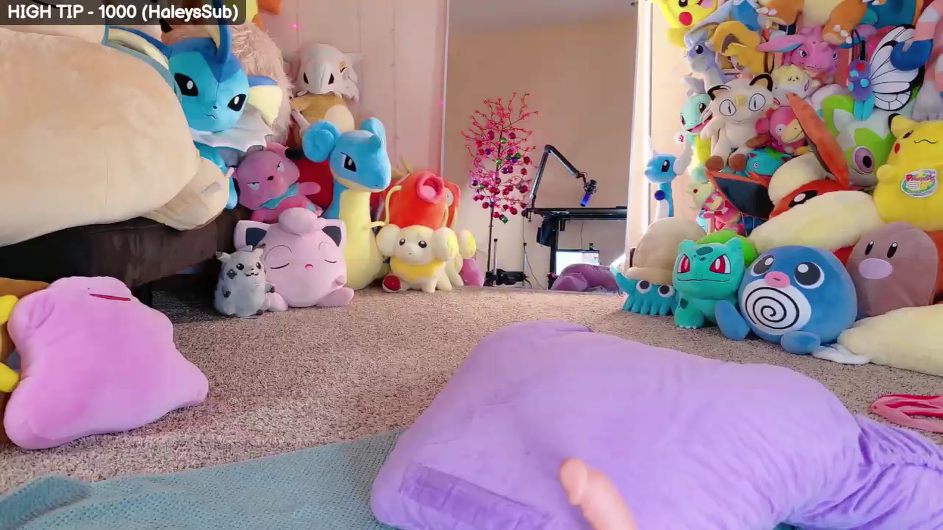 Gallery image thumbnail from HALEY's myfreecams stream on, 07/24/2026, 06:07 image 11 of 20