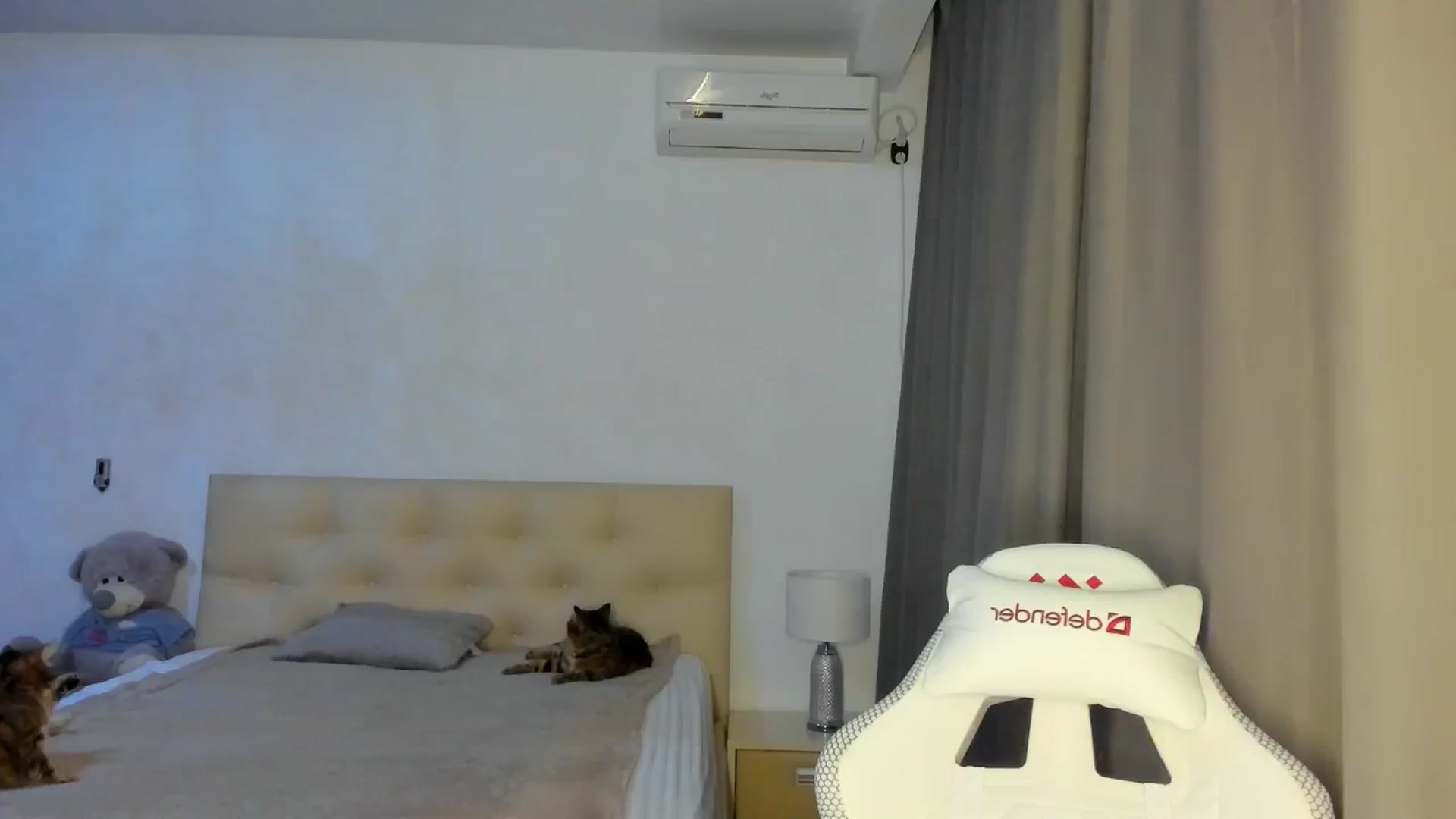 Gallery image thumbnail from HOLLYWOOD_USA's myfreecams stream on, 09/29/2024, 19:24 image 14 of 20