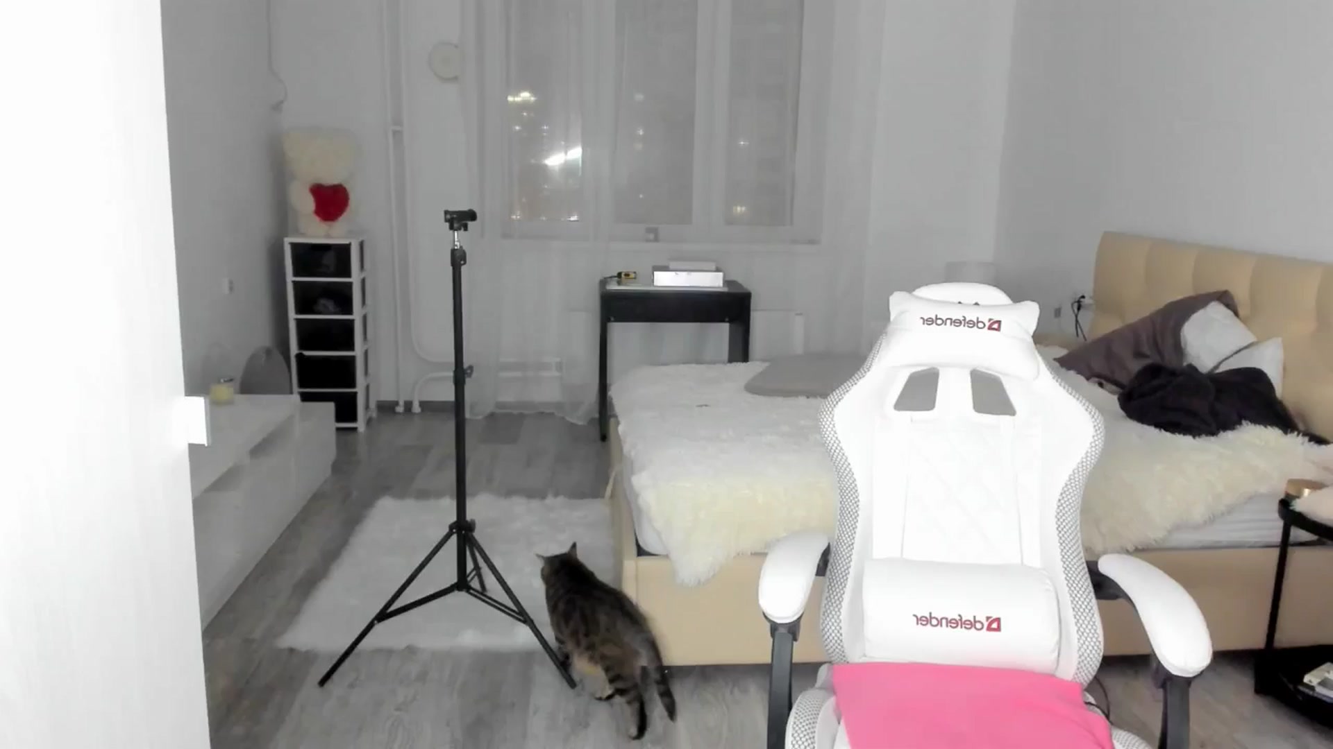 Gallery image thumbnail from HOLLYWOOD_USA's myfreecams stream on, 12/09/2024, 15:19 image 20 of 20
