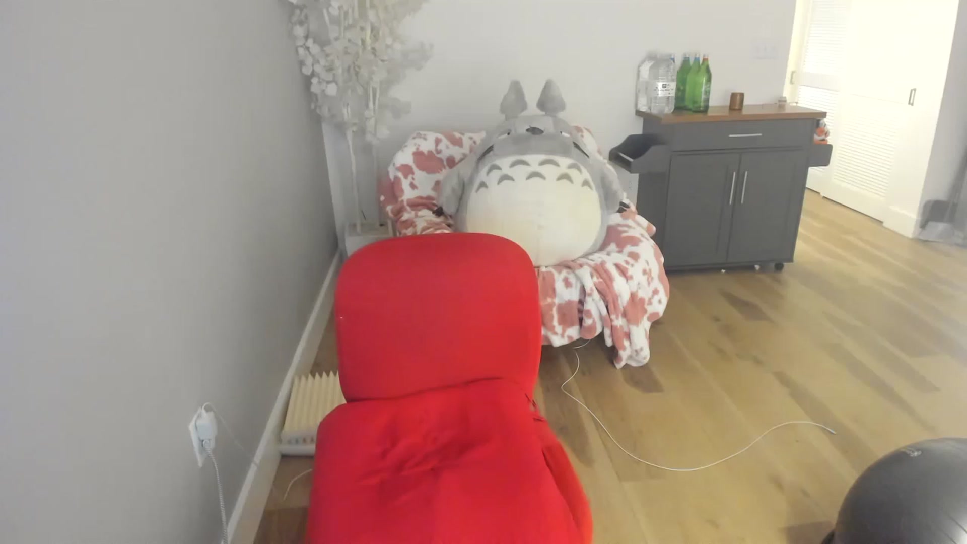 Gallery image thumbnail from HUGECockDomme's myfreecams stream on, 12/11/2022, 09:28 image 1 of 20