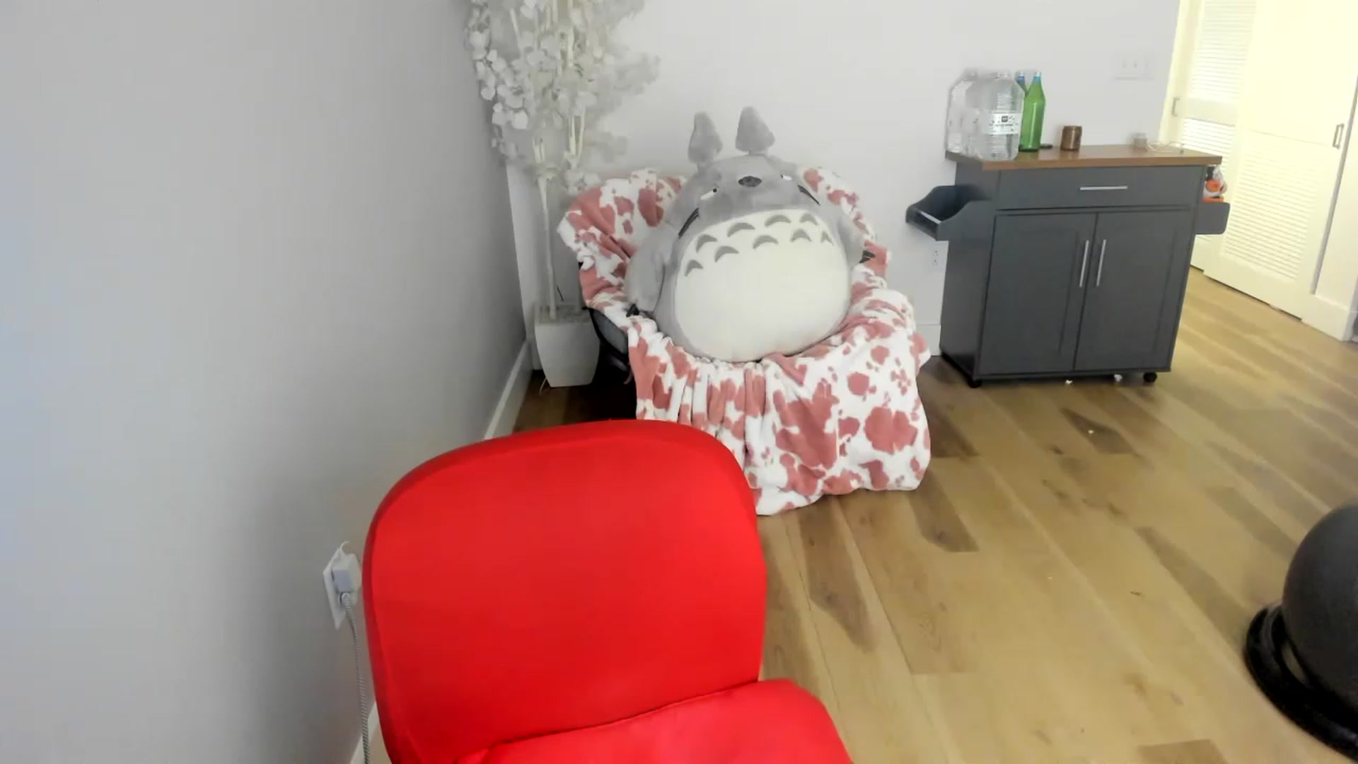 Gallery image thumbnail from HUGECockDomme's myfreecams stream on, 12/25/2022, 09:45 image 5 of 20