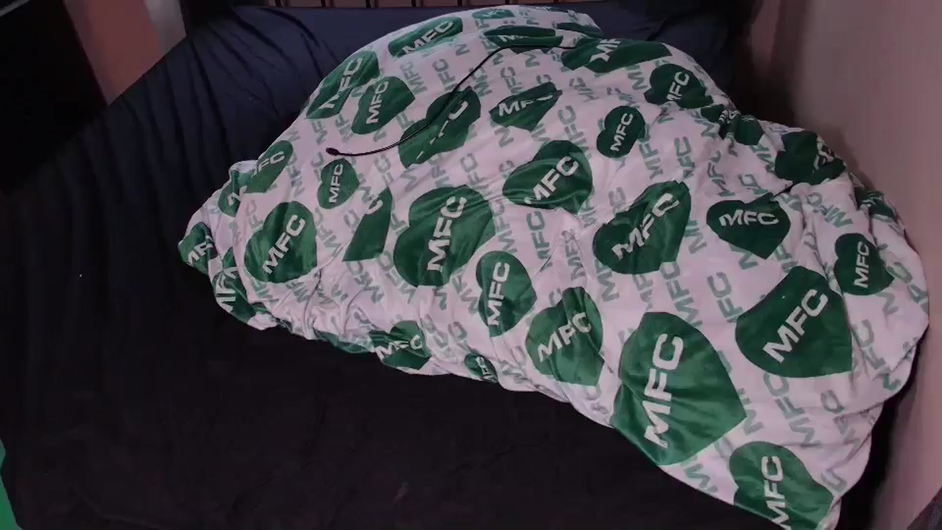 Gallery image thumbnail from HailWilds's myfreecams stream on, 12/30/2024, 18:34 image 1 of 20