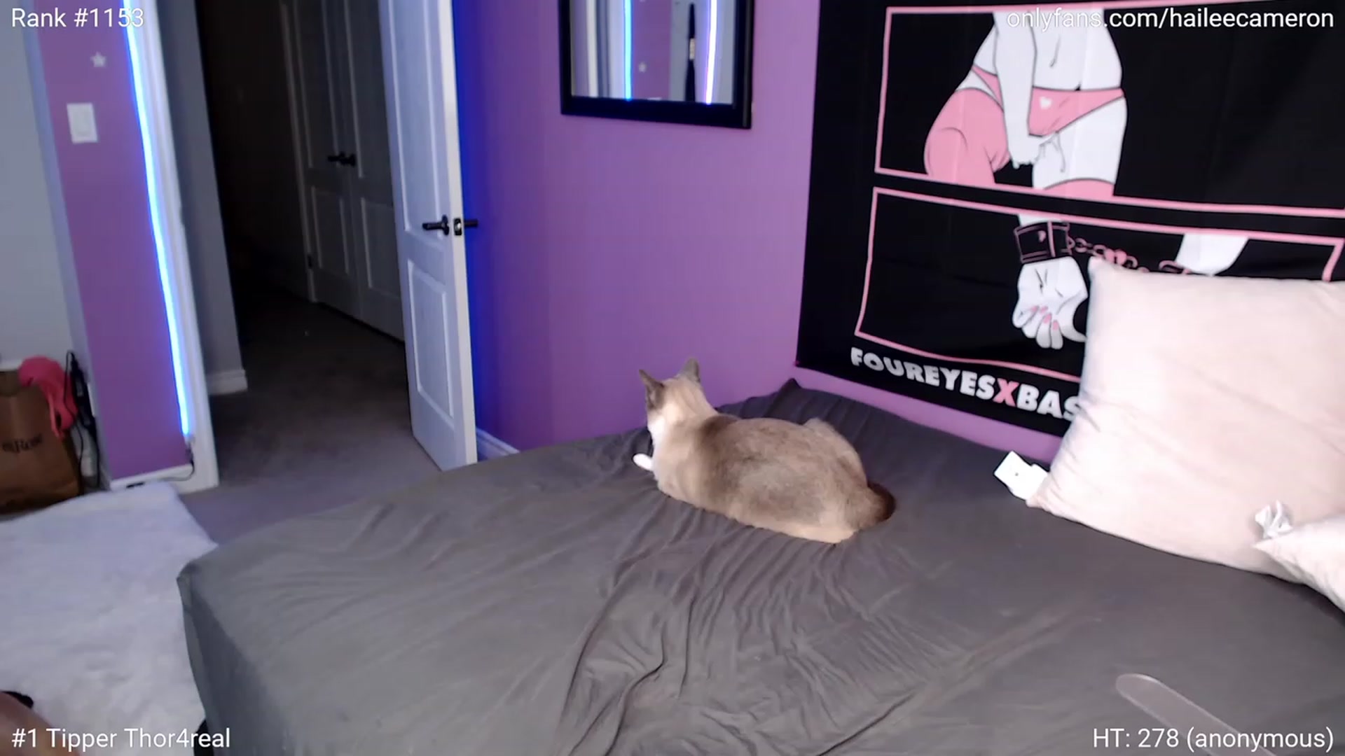 Gallery image thumbnail from HaileeCameron's myfreecams stream on, 11/25/2022, 05:16 image 2 of 20