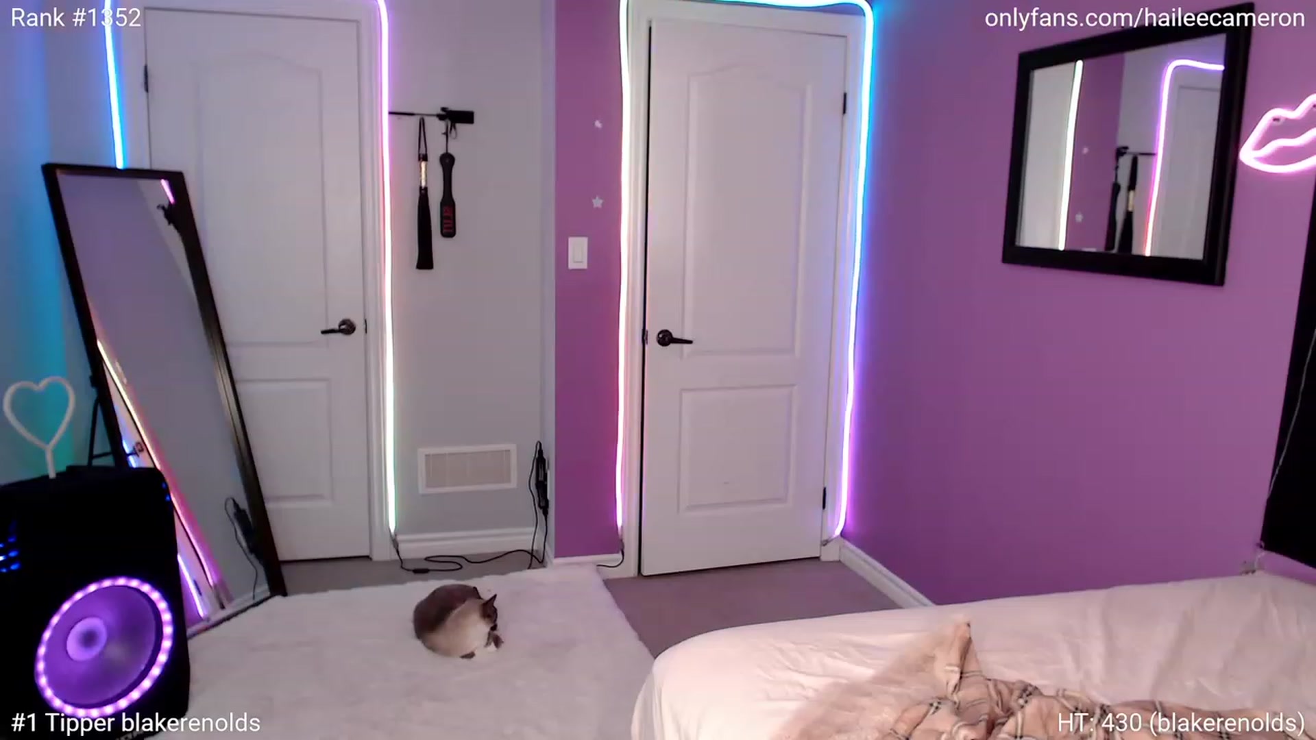Gallery image thumbnail from HaileeCameron's myfreecams stream on, 12/05/2022, 03:05 image 17 of 20