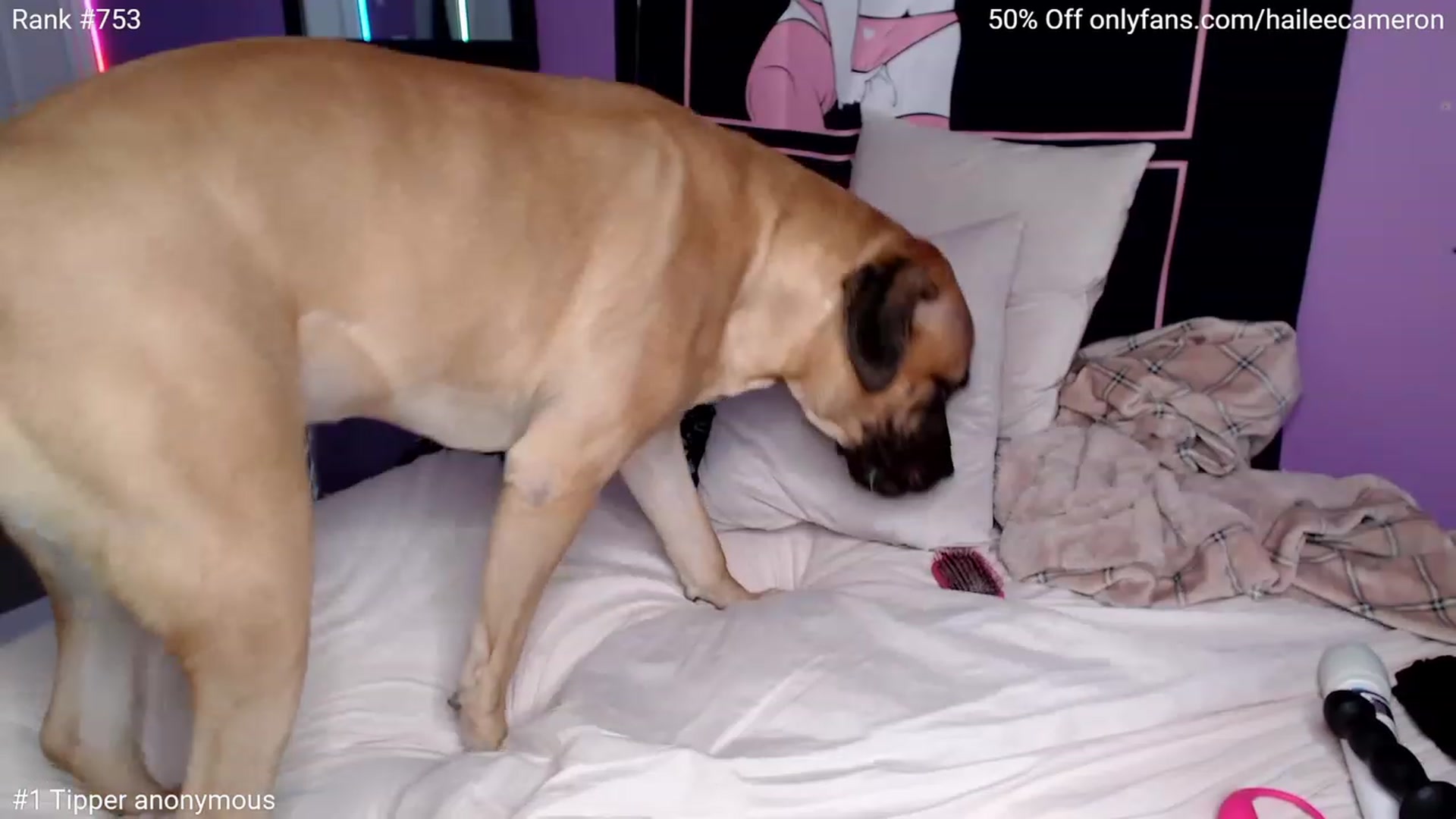 Gallery image thumbnail from HaileeCameron's myfreecams stream on, 01/01/2023, 09:46 image 5 of 20