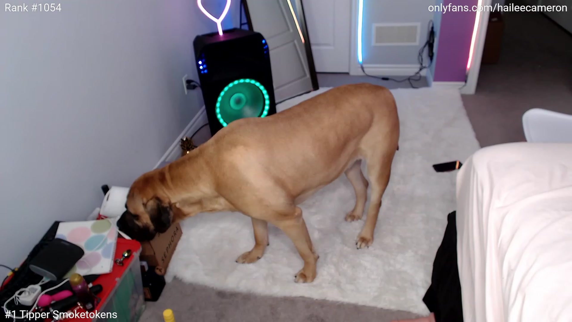 Gallery image thumbnail from HaileeCameron's myfreecams stream on, 01/15/2023, 10:32 image 9 of 20