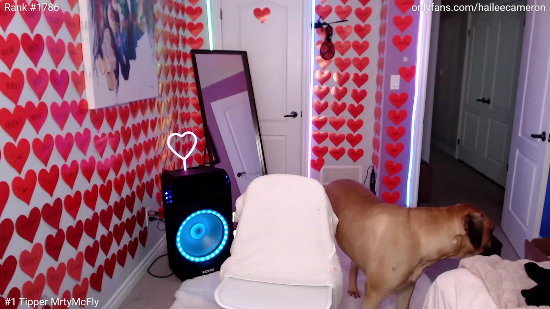 Gallery image thumbnail from HaileeCameron's myfreecams stream on, 03/03/2023, 07:14 image 19 of 20