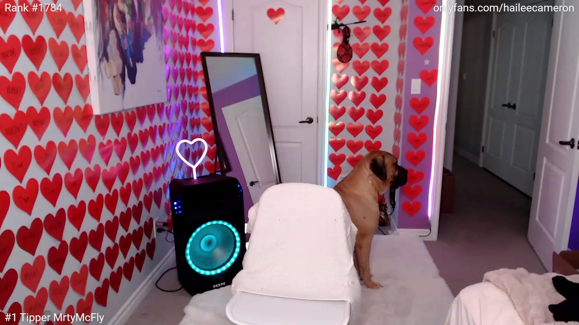 Gallery image thumbnail from HaileeCameron's myfreecams stream on, 03/03/2023, 07:14 image 17 of 20