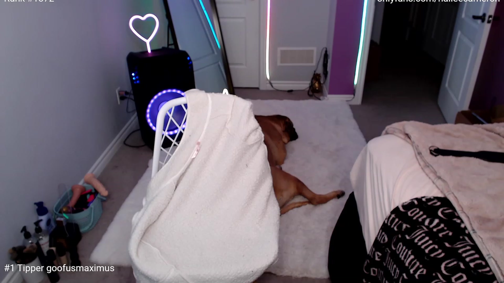 Gallery image thumbnail from HaileeCameron's myfreecams stream on, 03/09/2023, 06:04 image 13 of 20