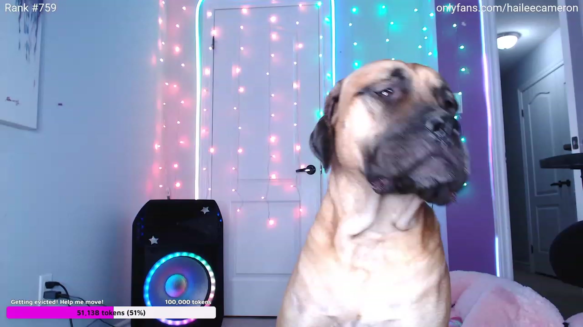 Gallery image thumbnail from HaileeCameron's myfreecams stream on, 09/05/2023, 24:53 image 17 of 20