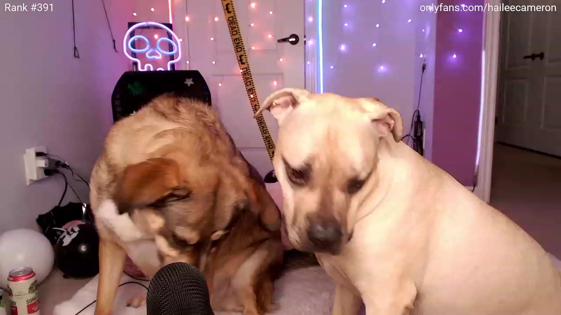 Gallery image thumbnail from HaileeCameron's myfreecams stream on, 10/28/2023, 04:23 image 8 of 20