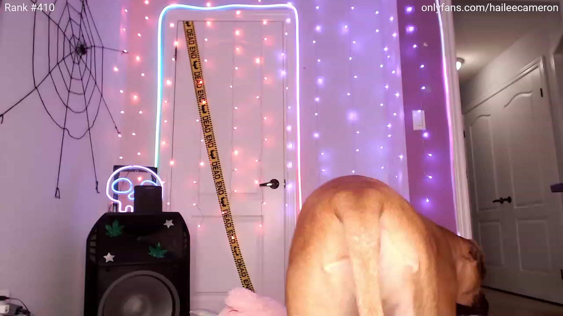 Gallery image thumbnail from HaileeCameron's myfreecams stream on, 10/29/2023, 07:57 image 17 of 20
