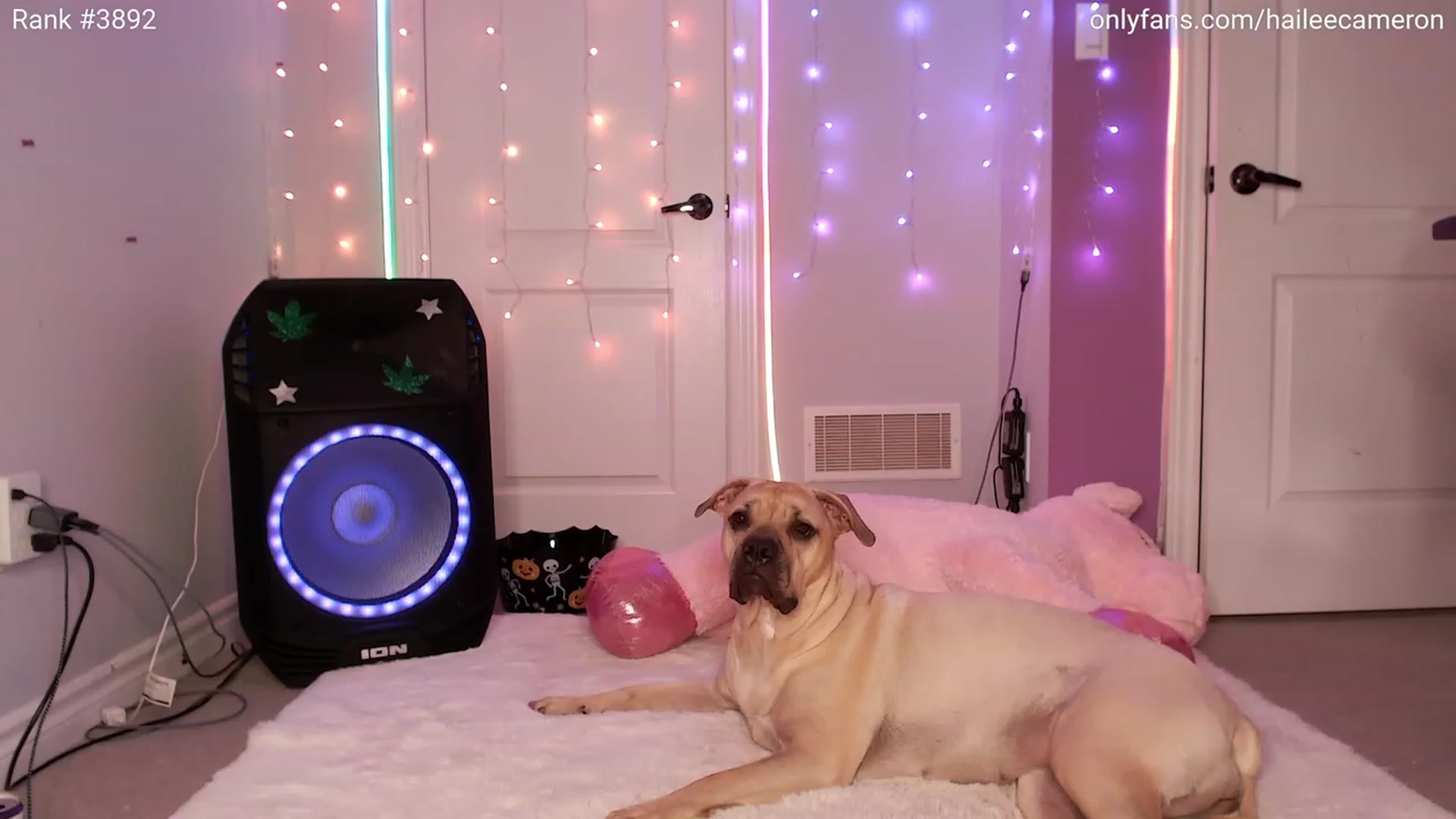 Gallery image thumbnail from HaileeCameron's myfreecams stream on, 11/03/2023, 23:58 image 17 of 20
