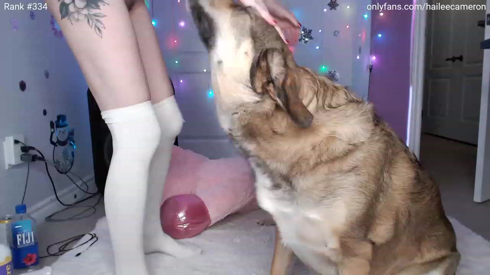 Gallery image thumbnail from HaileeCameron's myfreecams stream on, 11/18/2023, 07:20 image 9 of 20