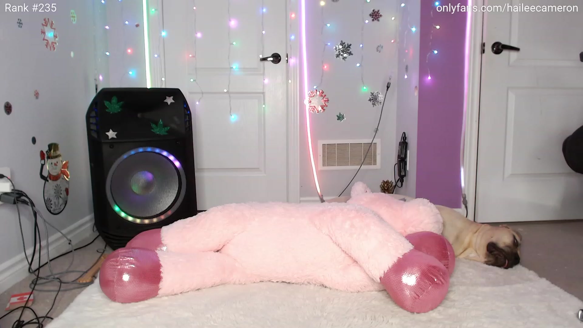 Gallery image thumbnail from HaileeCameron's myfreecams stream on, 12/01/2023, 07:57 image 16 of 20